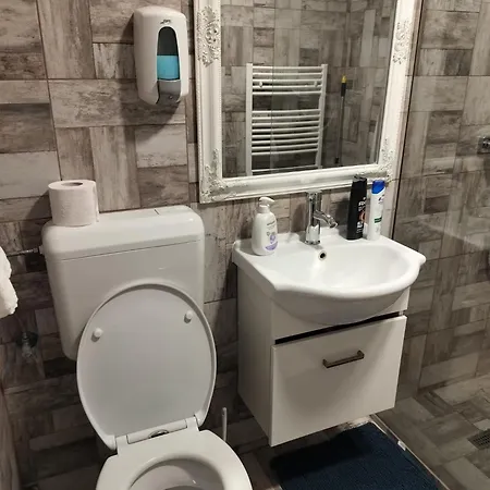 Florentinas Apartment Апартаменты Брашов