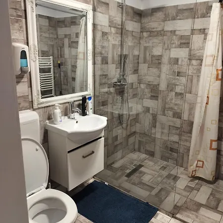 Florentinas Apartment Брашов