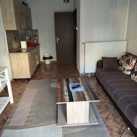 Apartament Brasov Apartment