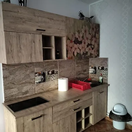 Apartment Apartament Brasov *