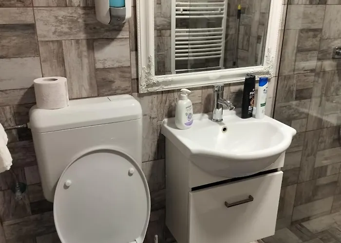 Florentinas Apartman Brassó